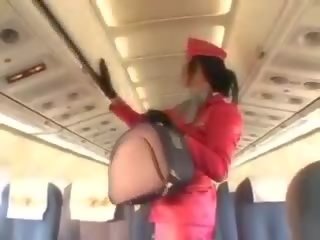 Enticing stjuardesë duke thithur putz para cunnilingus
