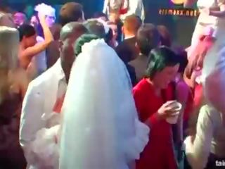 Magnificent kaislīgas brides zīst liels gaiļus uz publisks