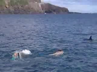 Pagtatalik video sa ilalim water pelikula