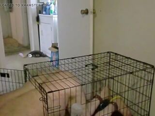 Poner perrito en jaula: gratis enjaulado hd x calificación vídeo espectáculo 25